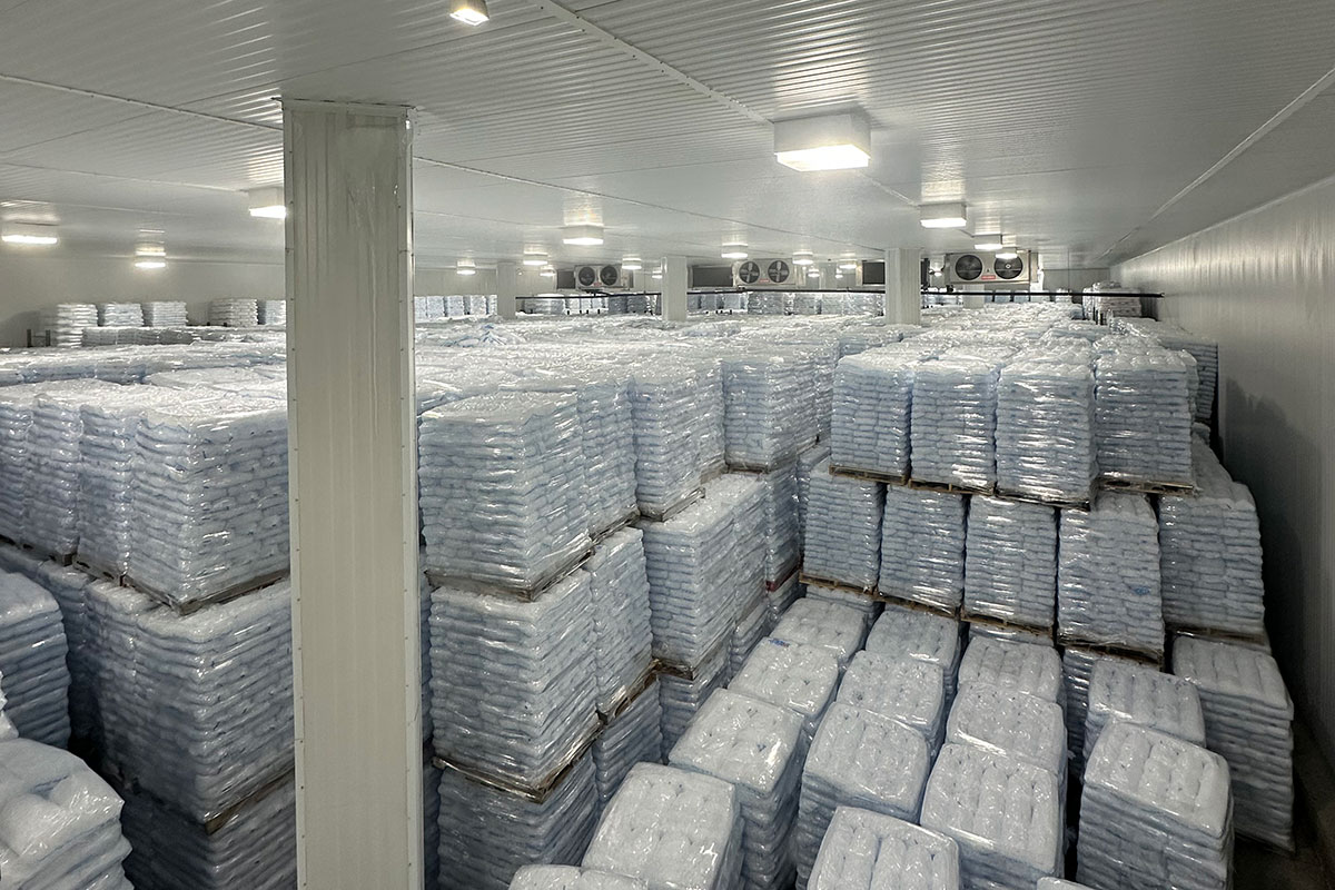 Multiple truckloads of ice prepared for delivery in storage.