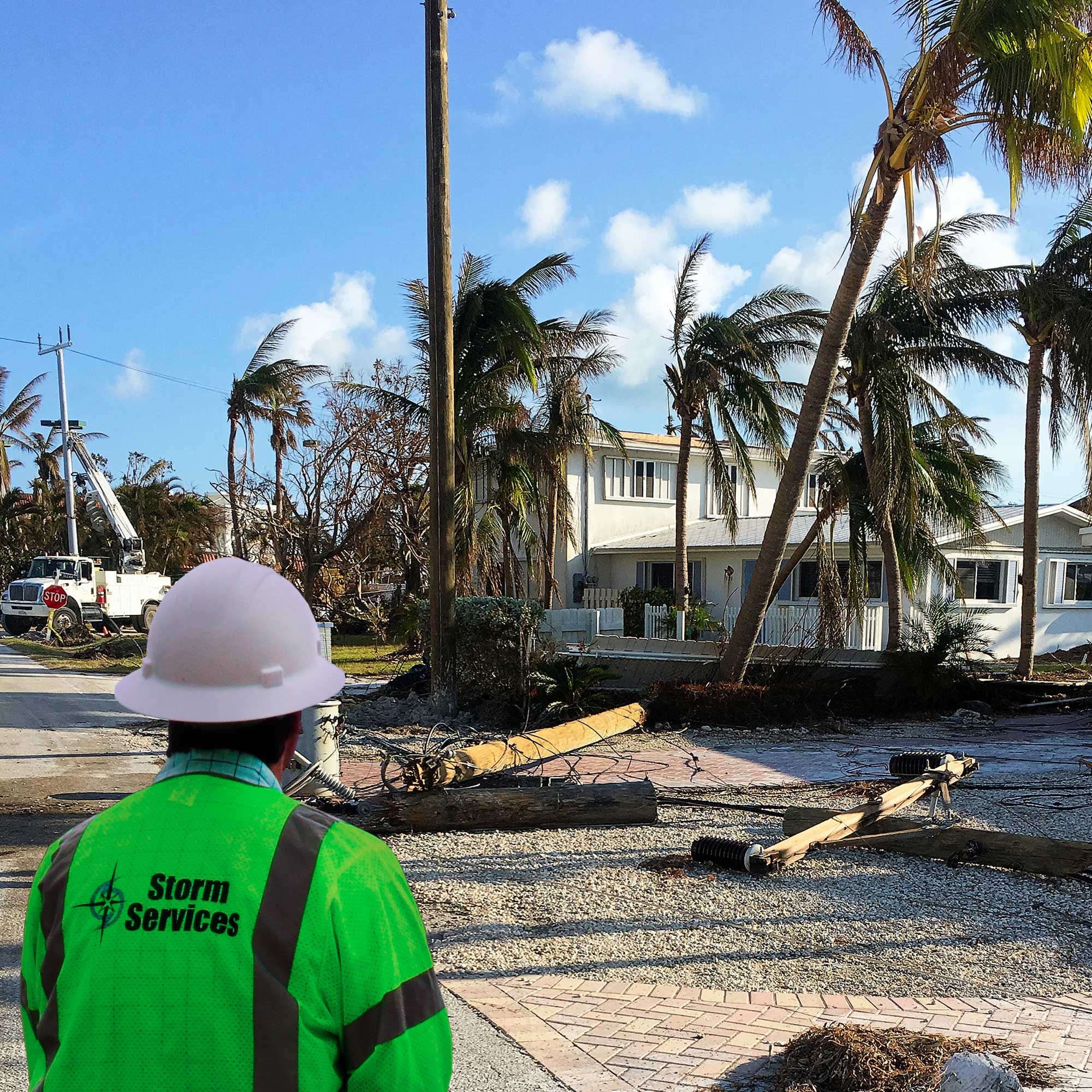 Assessing the Damage