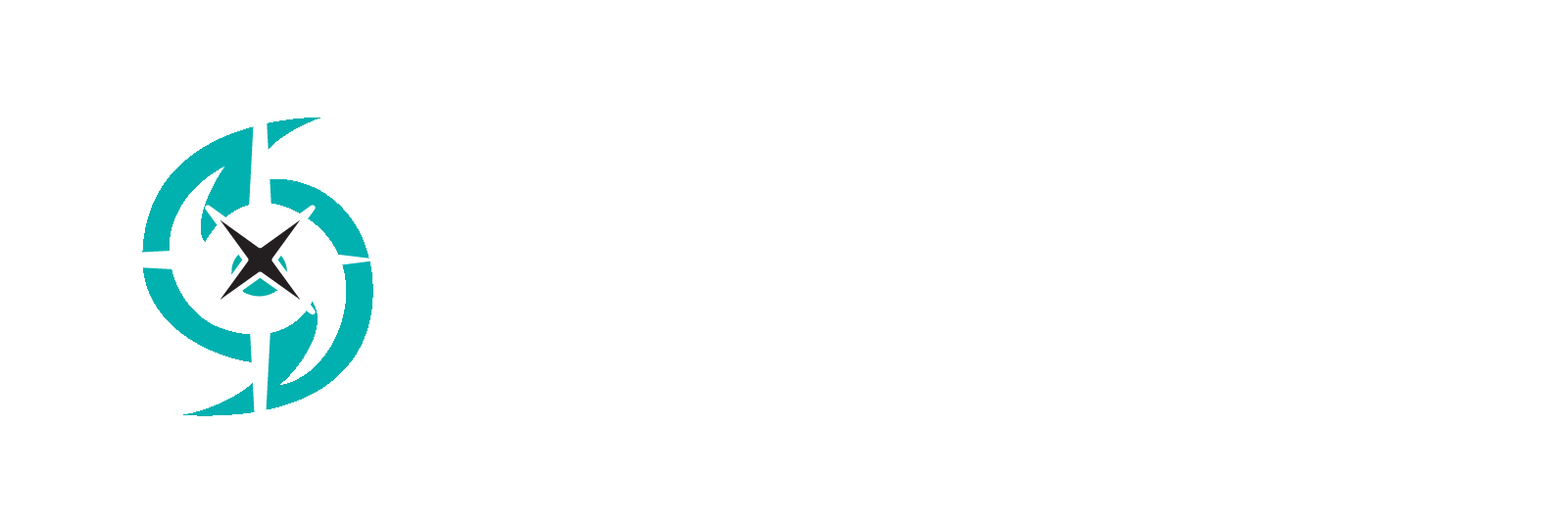 Storm Services Logo