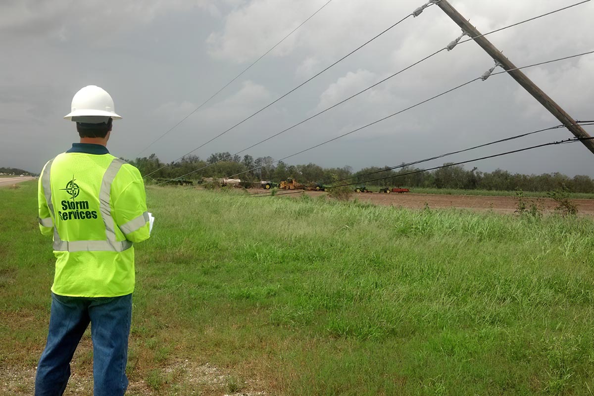 Storm Services assessor investigates damaged poles.